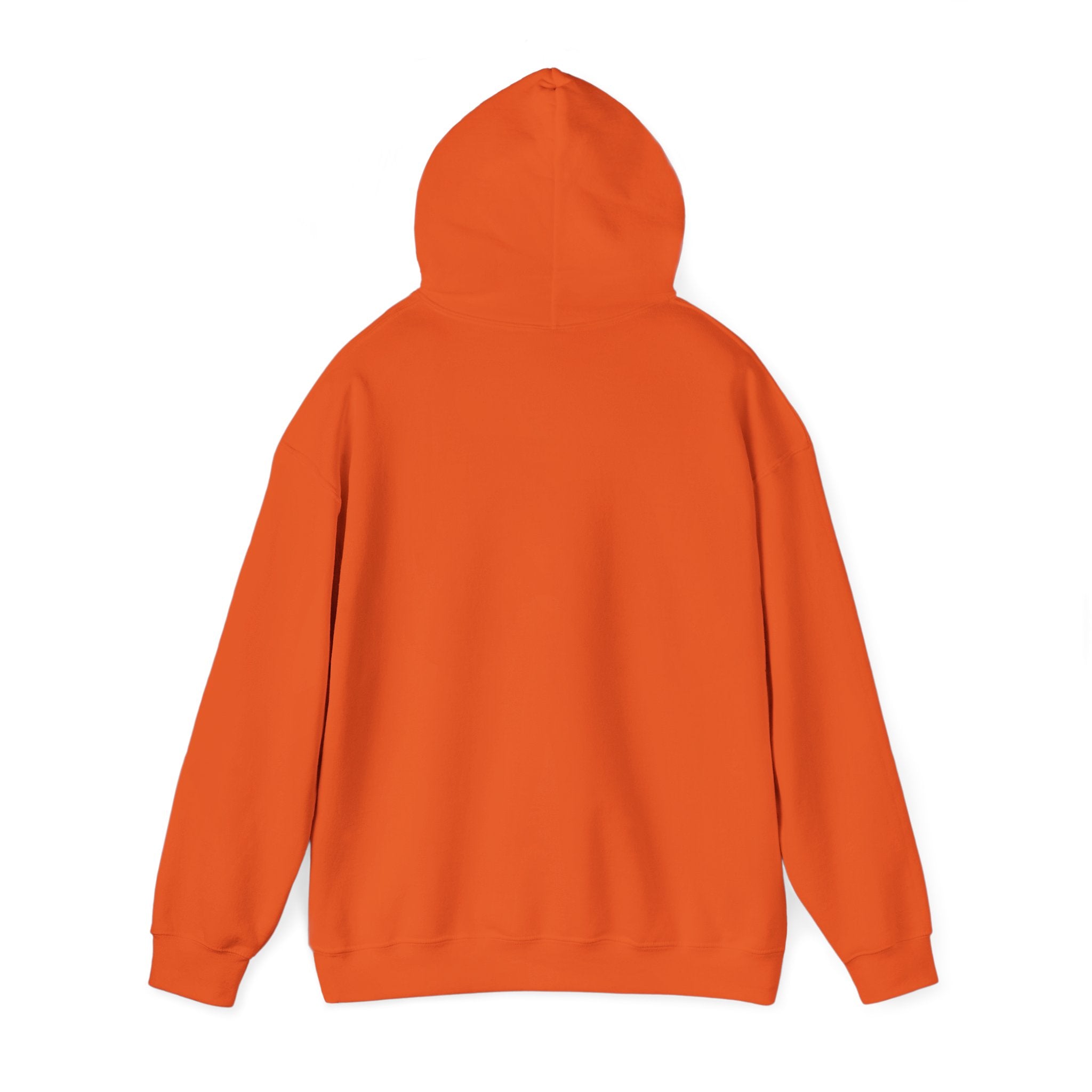 Hoodie - Unisex Heavy Blend™ Sweatshirt