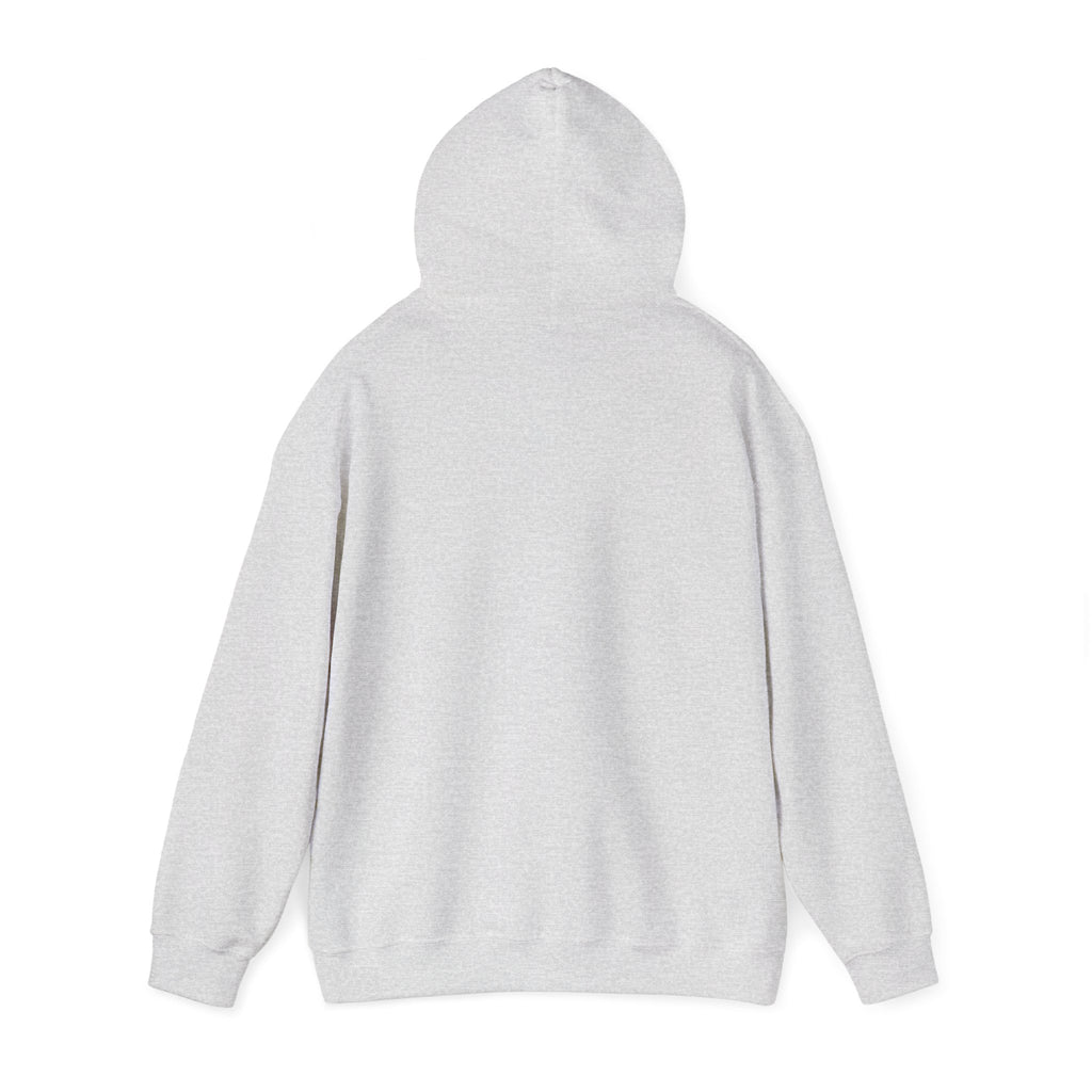Hoodie - Unisex Heavy Blend™ Sweatshirt
