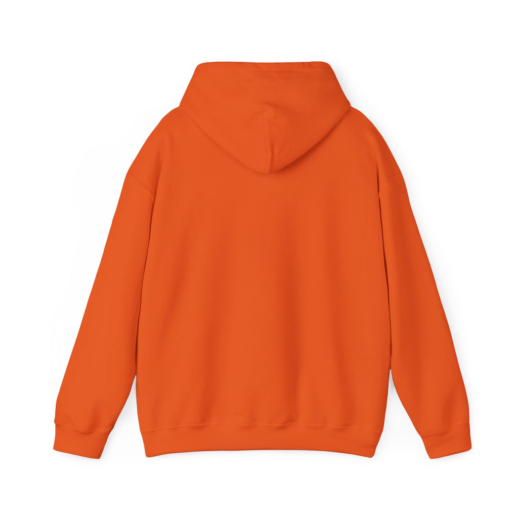 Hoodie - Unisex Heavy Blend™ Sweatshirt