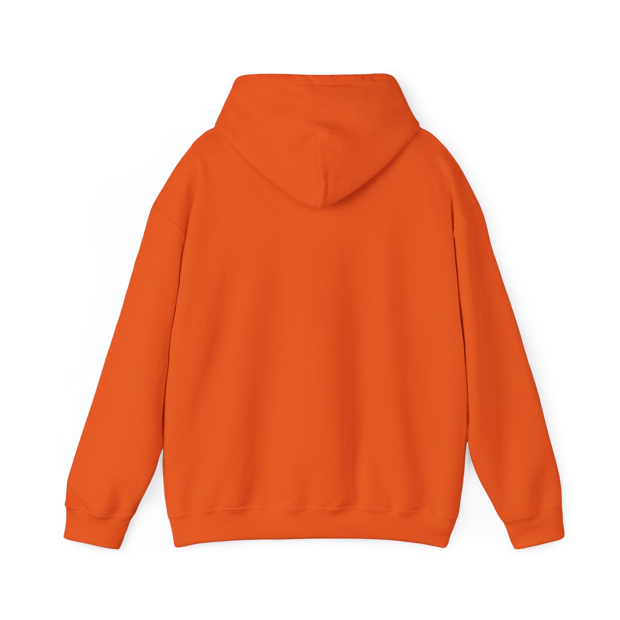 Hoodie - Unisex Heavy Blend™ Sweatshirt