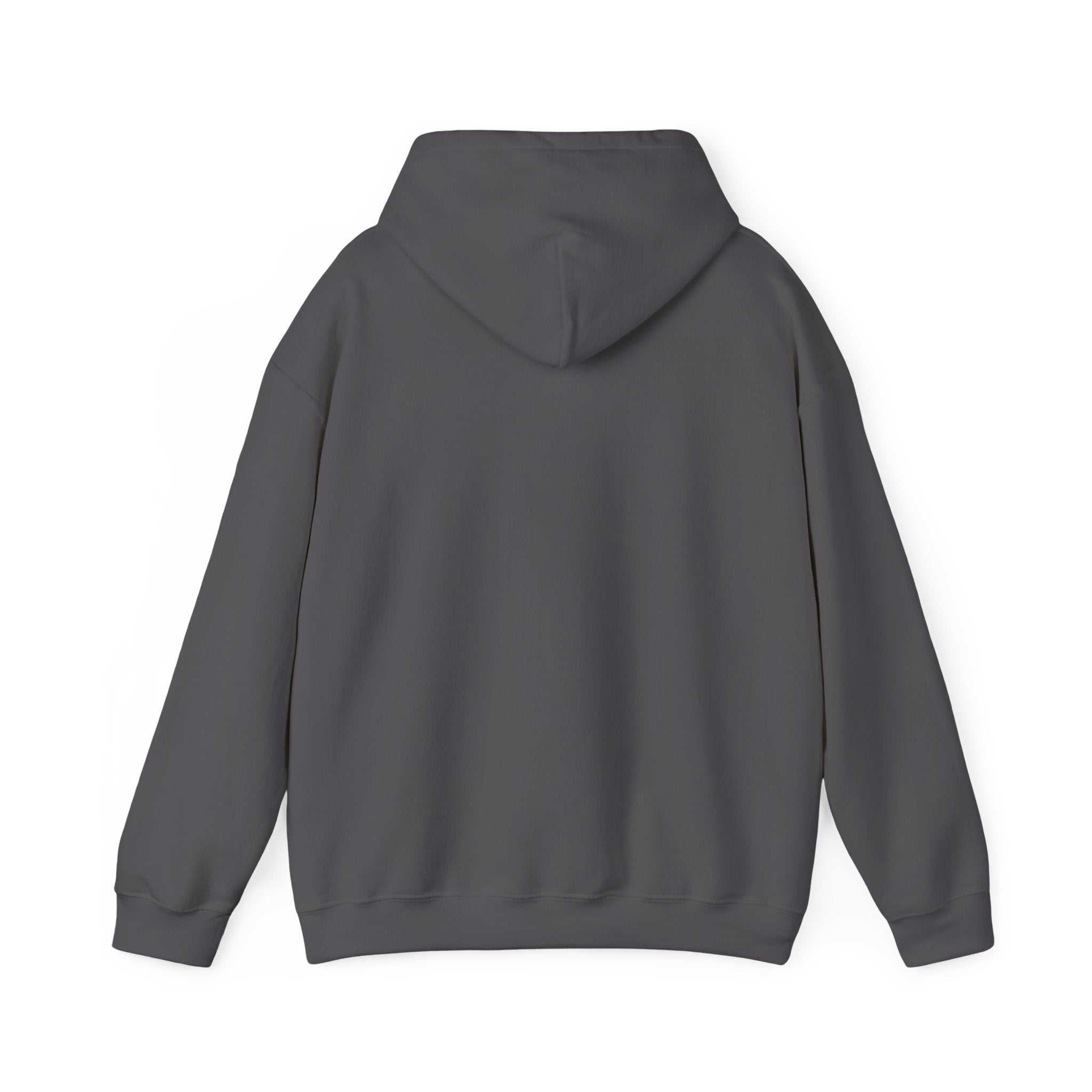 Hoodie - Unisex Heavy Blend™ Sweatshirt