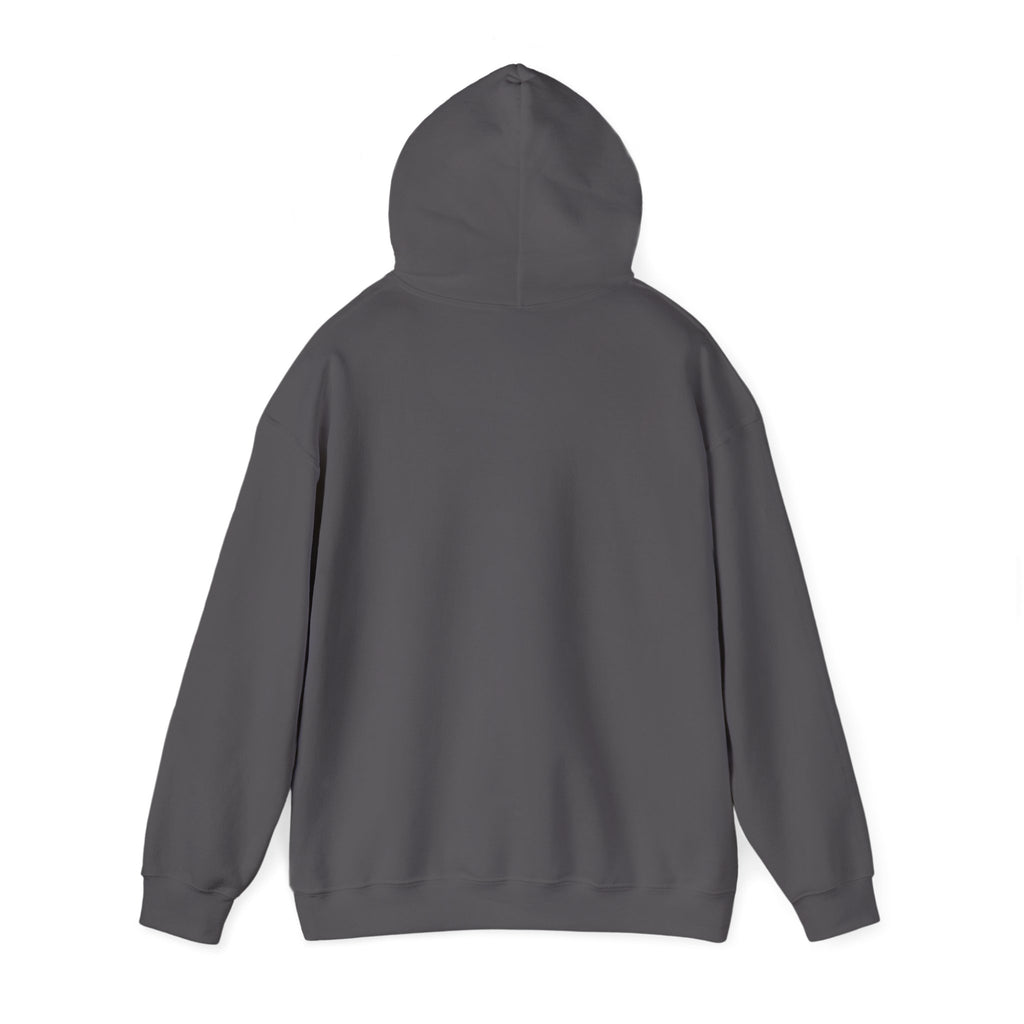 Hoodie - Unisex Heavy Blend™ Sweatshirt