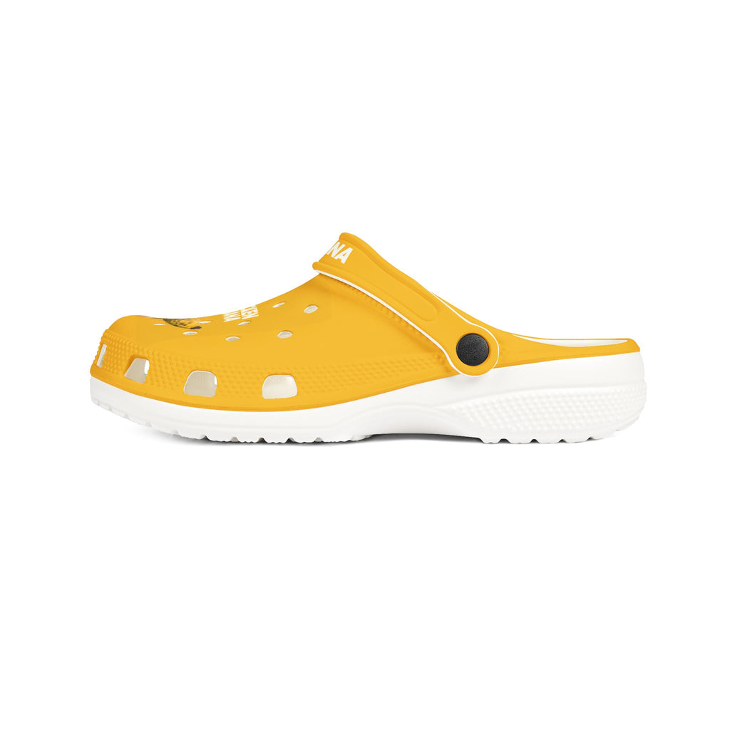 EVA Foam Rubber Shoes